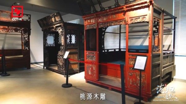 海归追梦人：带着梦想归来 向着世界出发